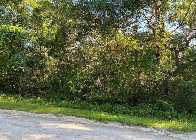 Property at 34085 Arrowrock St, Webster, FL 33597
