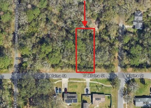 Property at 0 Alvina St, Tampa, FL 33625