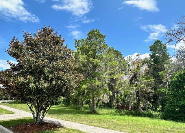 Property at 16023 Pendio Dr, Bella Collina, FL 34756