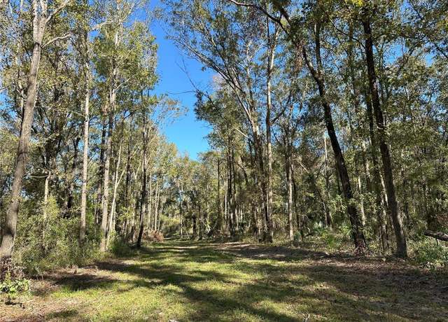 Property at 55ac W Hwy 318, Reddick, FL 32686