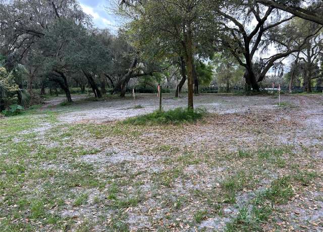 Property at Chameleon Rd, Pierson, FL 32180