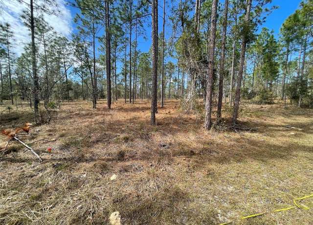 Property at 133rd Ave SE, Dunnellon, FL 34431