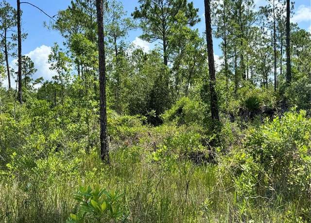 Property at 223 Incline Rd, Satsuma, FL 32189