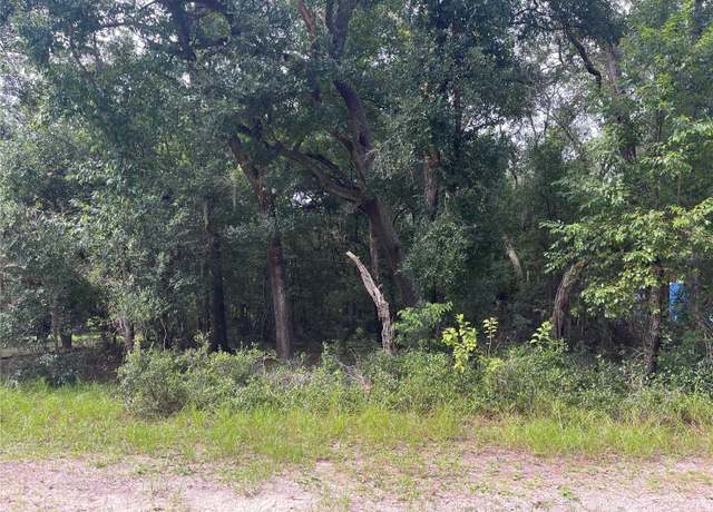 Property at North Rd, Altoona, FL 32702