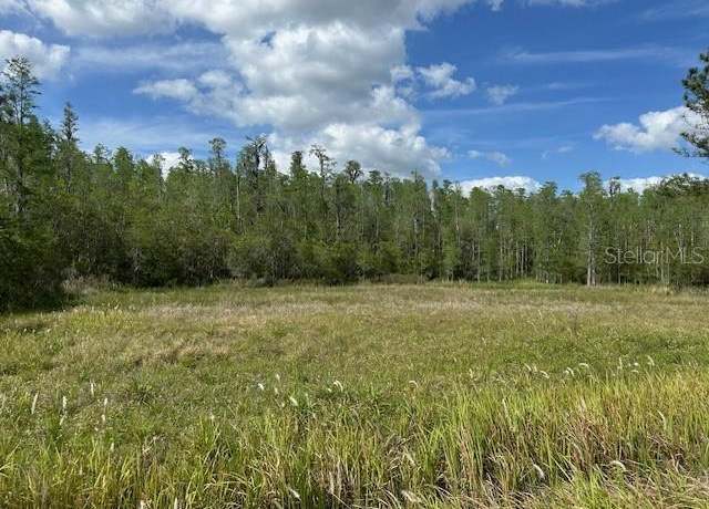 Property at 26545 C C Ln, Wesley Chapel, FL 33544