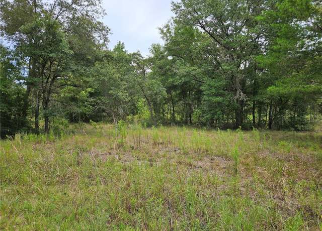 Property at 921 NE 148th Ct, Williston, FL 32696