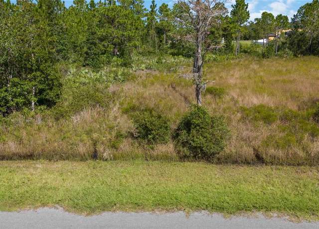 Property at Overton St, Orlando, FL 32833