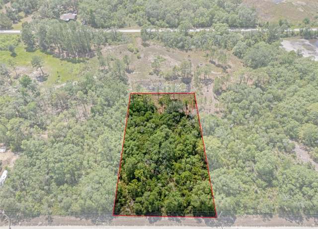 Property at 7467 Alloy St, Webster, FL 33597