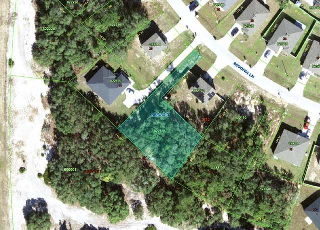 Property at 224 Begonia Ln, Poinciana, FL 34759