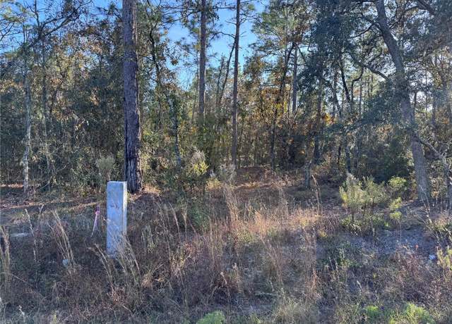 Property at TBT SW 91st Ln, Dunnellon, FL 34432