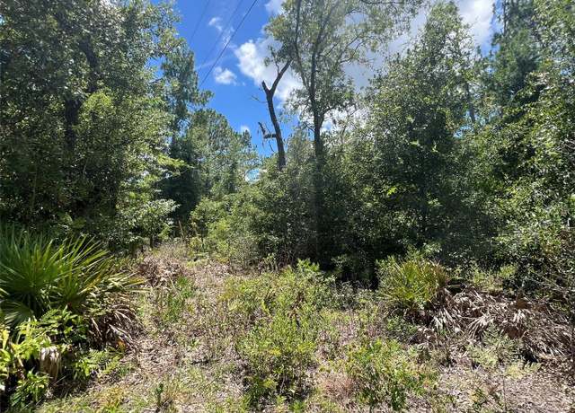 Property at 000 NE 822nd St, Old Town, FL 32680