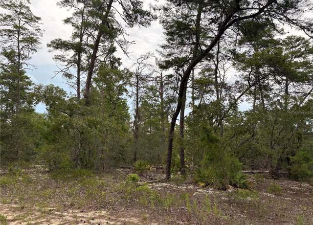 Property at 27 Statice Ct, Homosassa, FL 34446