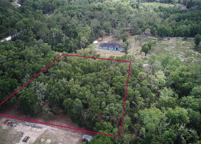 Property at 7246 Norman St, Webster, FL 33597