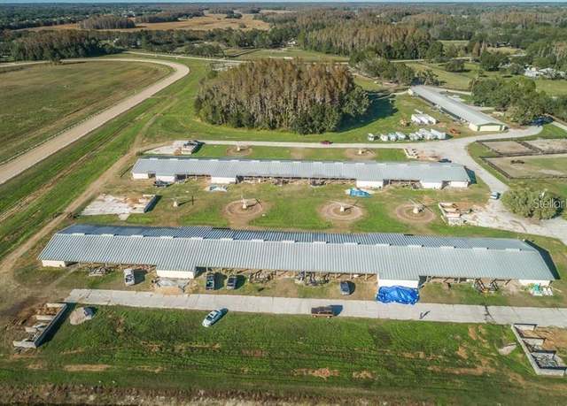 homes for sale in nine eagles odessa fl