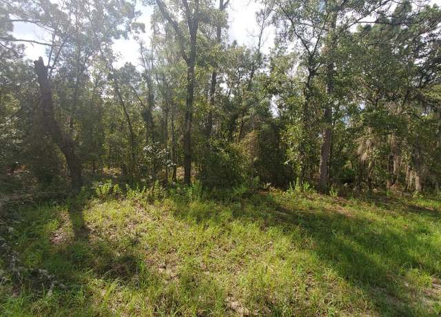 Property at 16009 SW 57th Terrace Rd, Ocala, FL 34473
