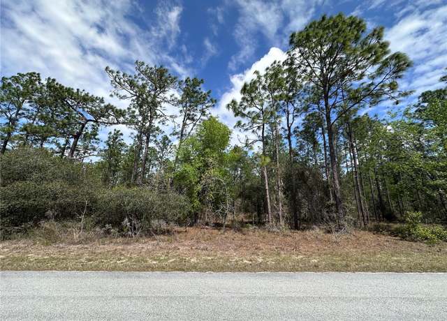 Property at TBD SW Anchor Blvd, Dunnellon, FL 34431