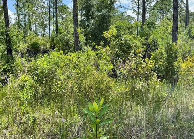 Property at 205 Deer Run Rd, Satsuma, FL 32189