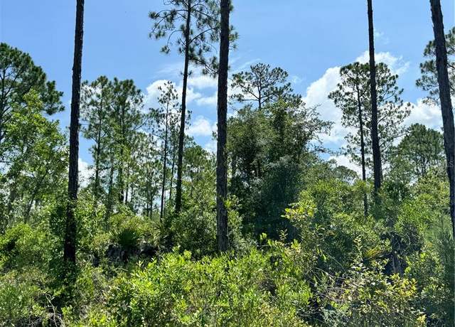 Property at 101 Possum Walk Rd, Satsuma, FL 32189