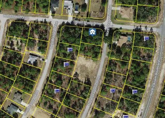 Property at 10798 N Dragonis Drs, Citrus Springs, FL 34433