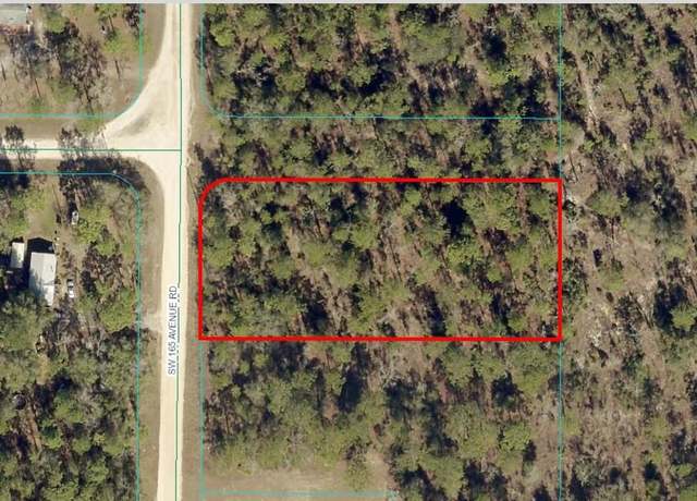 Property at TBD LOT 1 NW 165th Ave Rd, Ocala, FL 34481