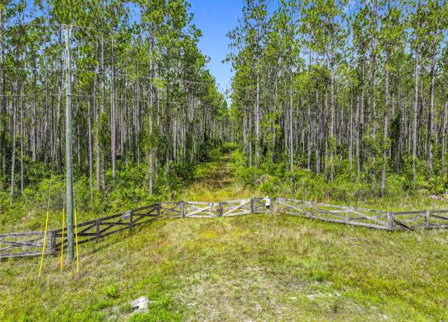 Property at TBD NW CR 336, Chiefland, FL 32626