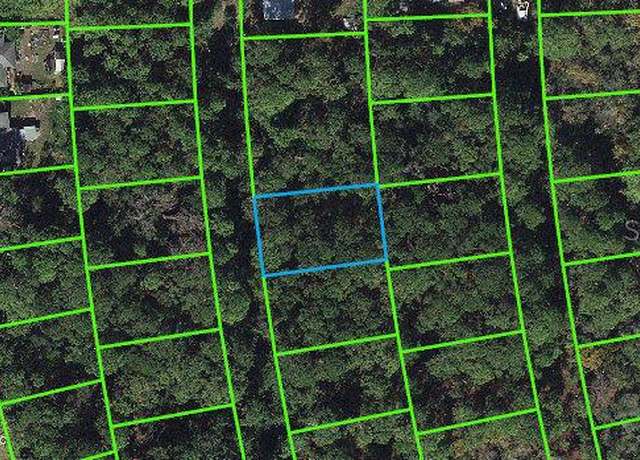 Property at 217 Harmony Ct, Lake Placid, FL 33852