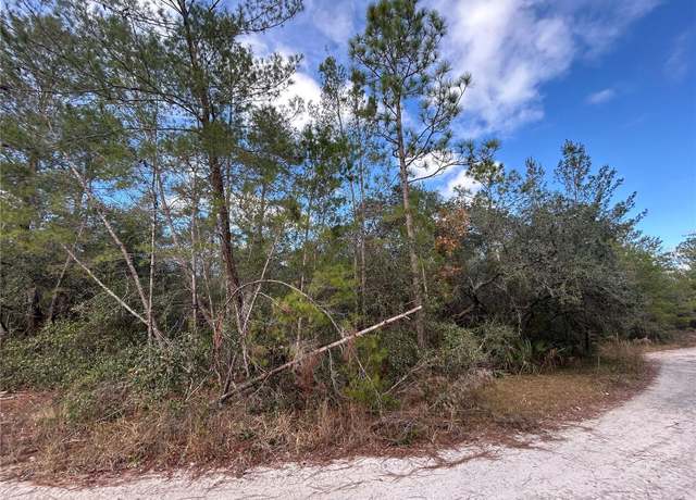 Property at TBD NE 236 Pl, Fort Mc Coy, FL 32134