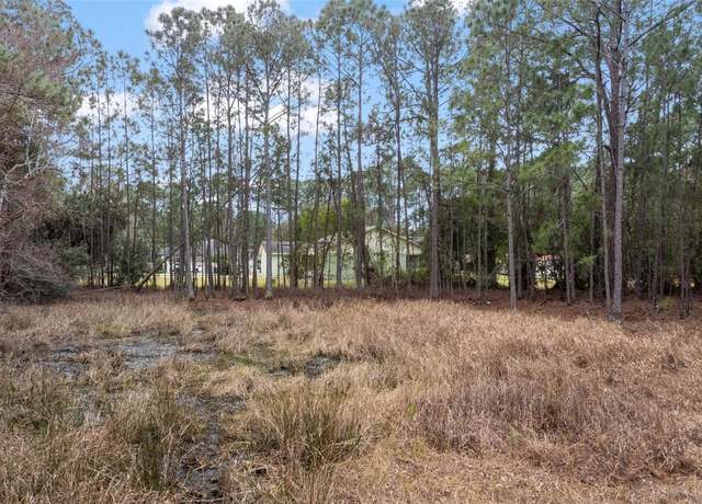 Property at Sanctuary Ave, Debary, FL 32713