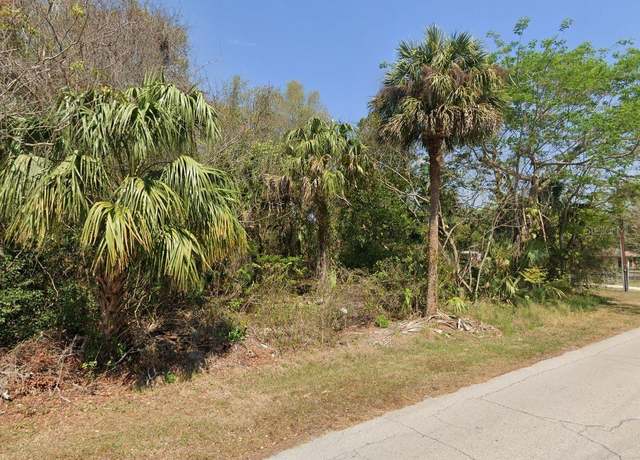 Property at Longwood Dr, Osteen, FL 32764