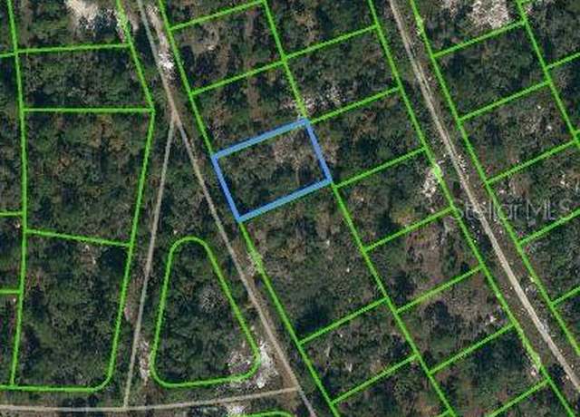 Property at 387 Blue Horizon Dr, Lake Placid, FL 33852