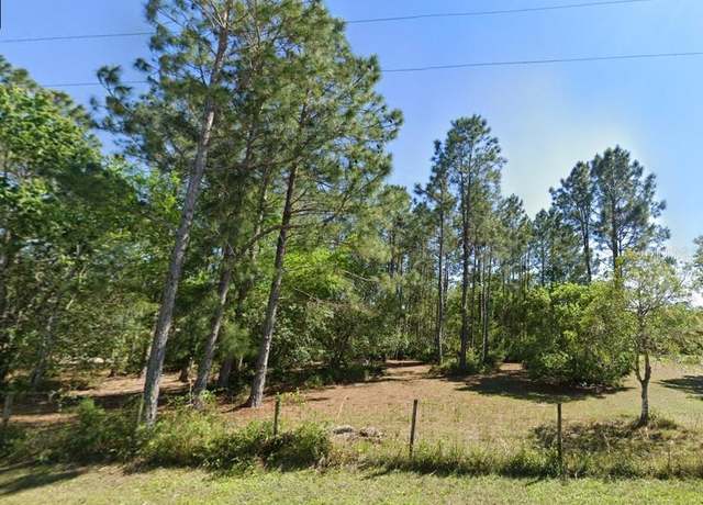 Property at 26300 Pheasant Run, Wesley Chapel, FL 33544