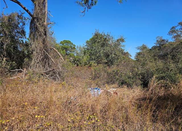 Property at 406 Hollow Ln, Lake Placid, FL 33852