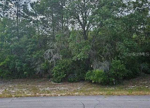 Property at Lot 13 SW 145th Place Rd, Dunnellon, FL 34432