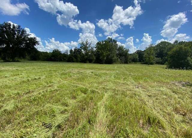 Property at 0 Mandrake Rd, Wesley Chapel, FL 33543