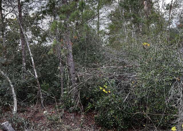 Property at Apple St, Eustis, FL 32736