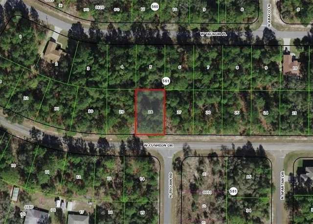 Property at 3357 W Cushion Dr, Citrus Springs, FL 34433