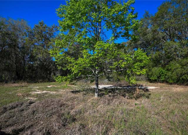 Property at Pablo Island Rd, Groveland, FL 34736