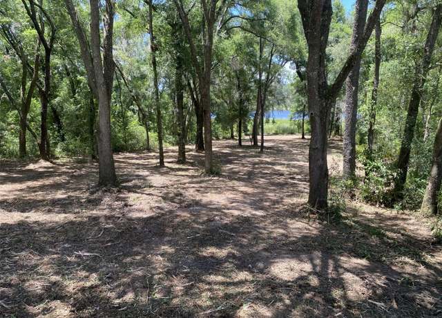 Property at Lot 163 SW Shorewood Dr, Dunnellon, FL 34431