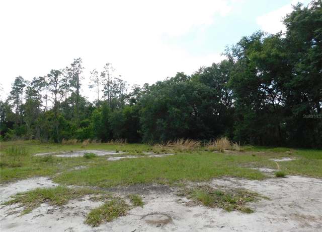 Property at 118 Orchidgrove Ln, Dover, FL 33527