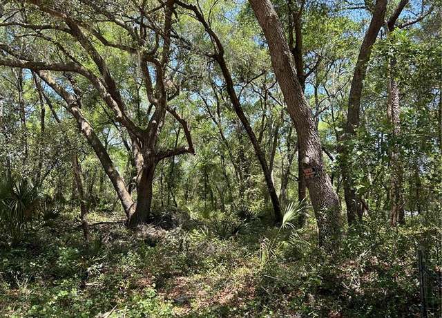 Property at SE 11th St, Silver Springs, FL 34488