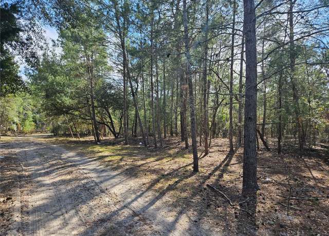 Property at 11391 SE 4th St, Williston, FL 32696