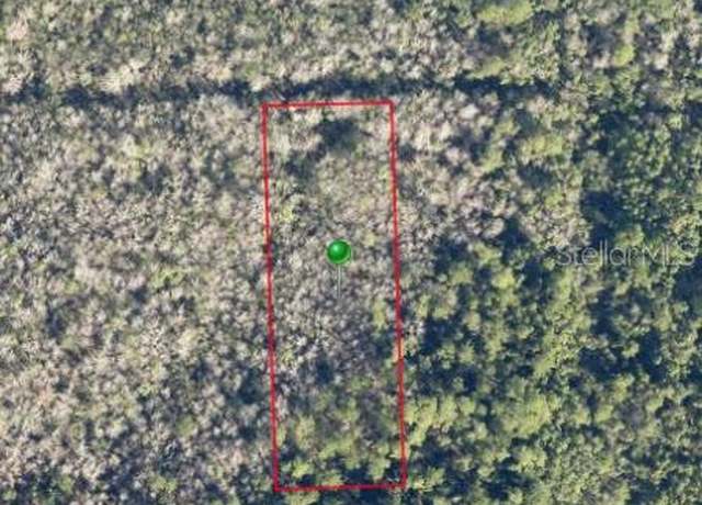 Property at Pine St, Pierson, FL 32180