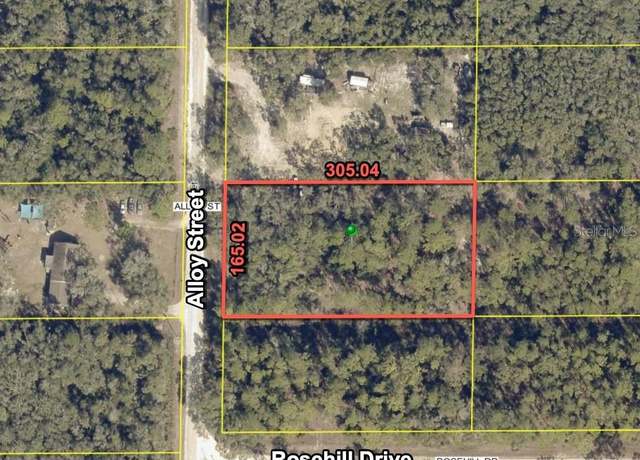 Property at 7374 Alloy St, Webster, FL 33597