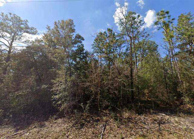 Property at 0 Canyon Swallow Rd Lot 5, Brooksville, FL 34614