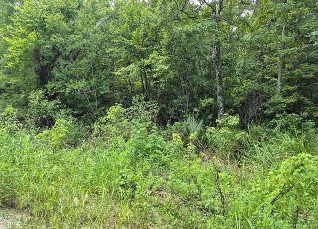 Property at SE 42nd Ct, Belleview, FL 34420
