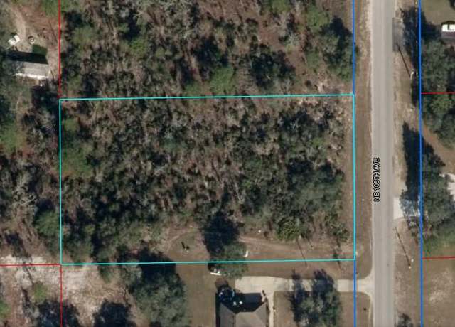Property at TBD NE 105th Ave, Bronson, FL 32621