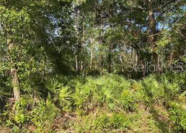 Property at 22733 NE 114th Ave, Fort Mc Coy, FL 32134