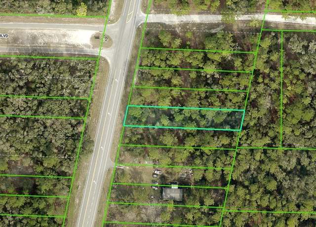 Property at 0 Treiman Blvd Lot 15, Webster, FL 33597