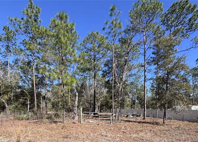Property at NE 3rd Pl, Williston, FL 32696