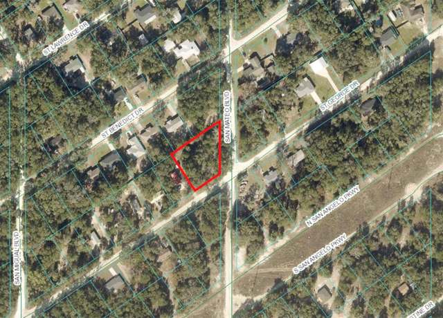 Property at LOT #228 & #229 St. George Drive & San Mateo Blvd, Dunnellon, FL 34432